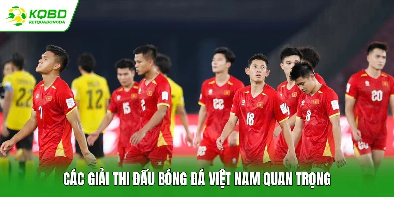 Các giải thi đấu bóng đá Việt Nam quan trọng