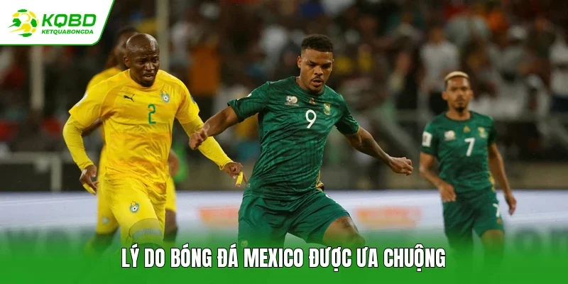 Lý do bóng đá Mexico được ưa chuộng